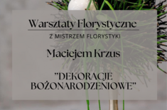 Main pic medium warsztaty 14 listopad  470 x 310 mm 